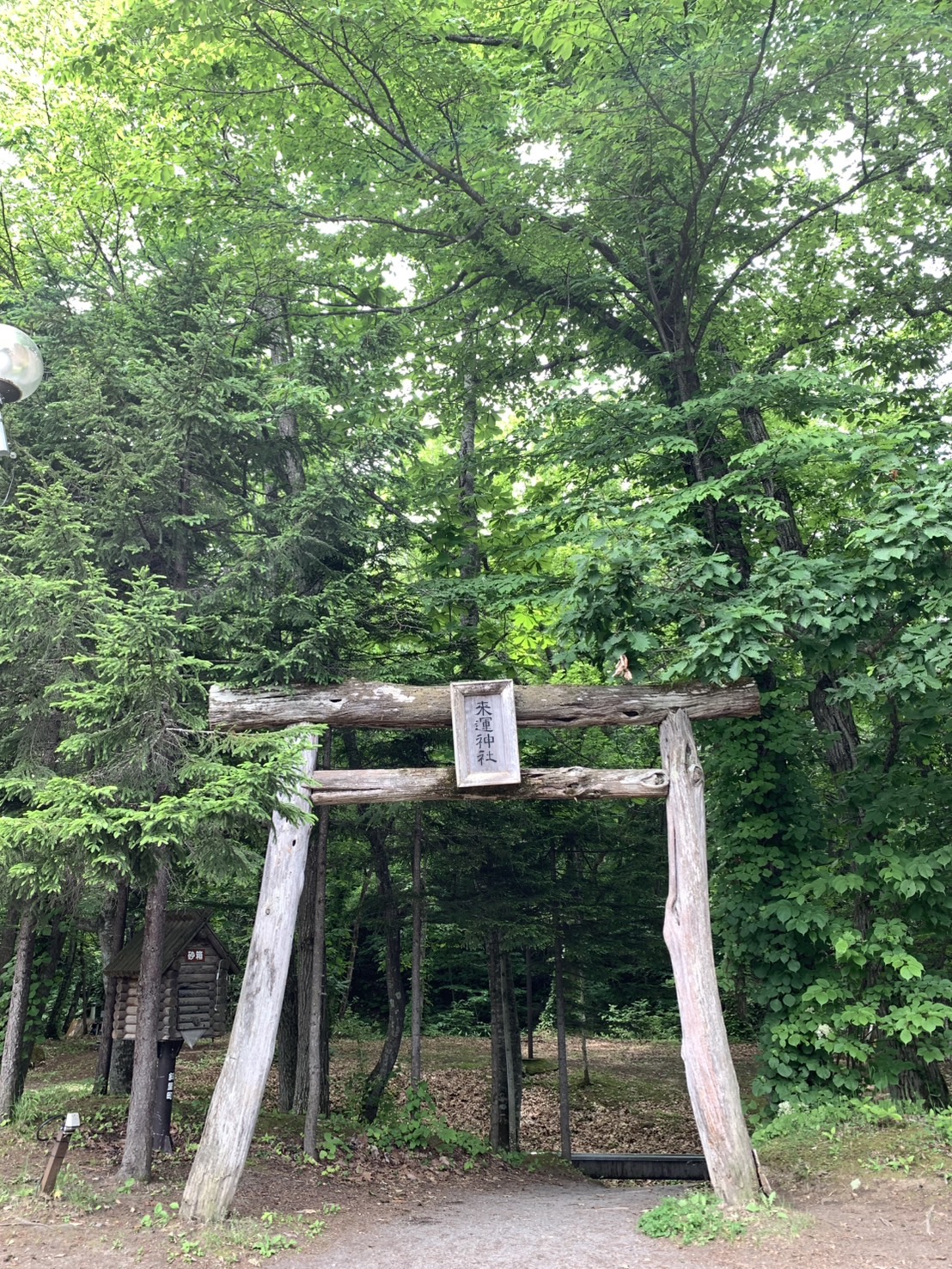 魔法のパワースポット S__174874680_0.jpg